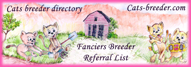 Banner Catsbreeder