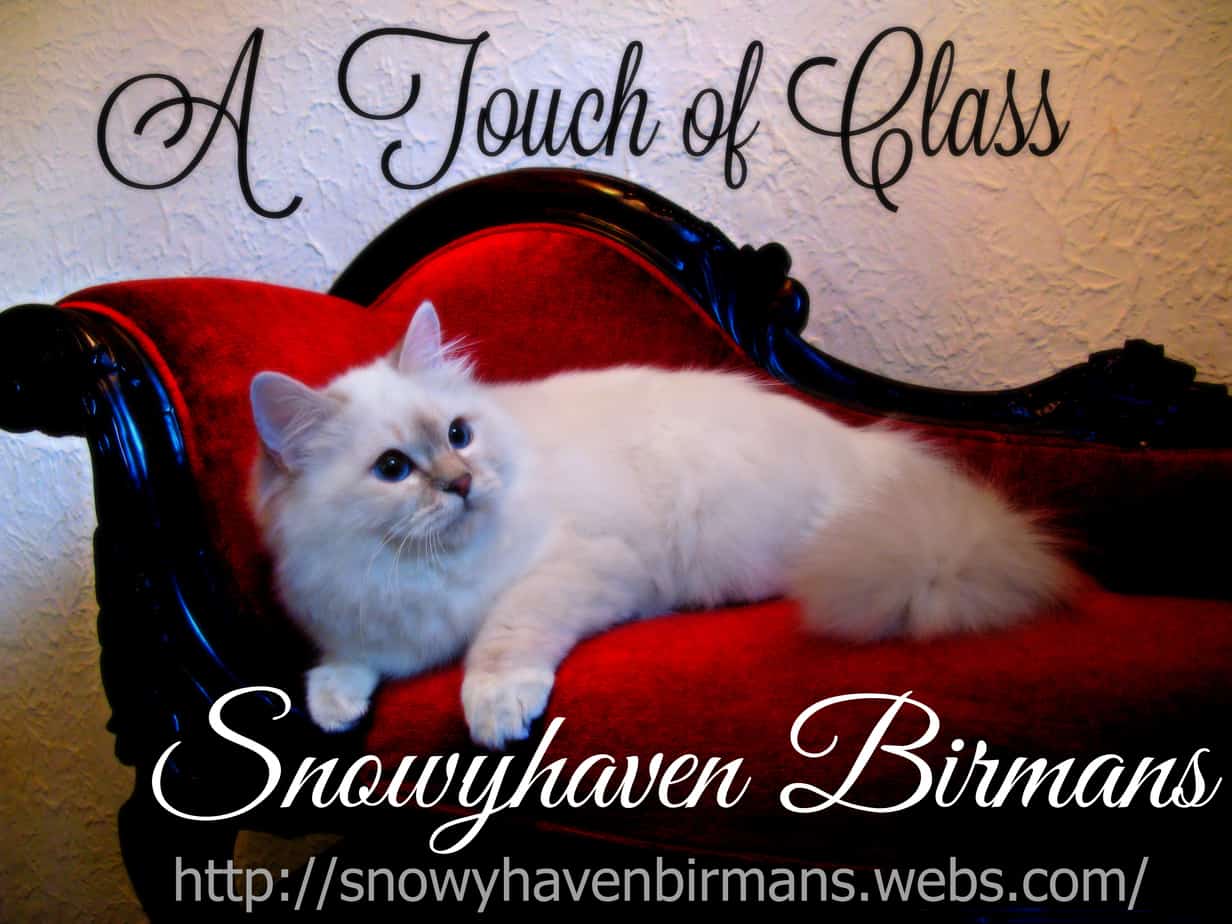 Snowyhaven